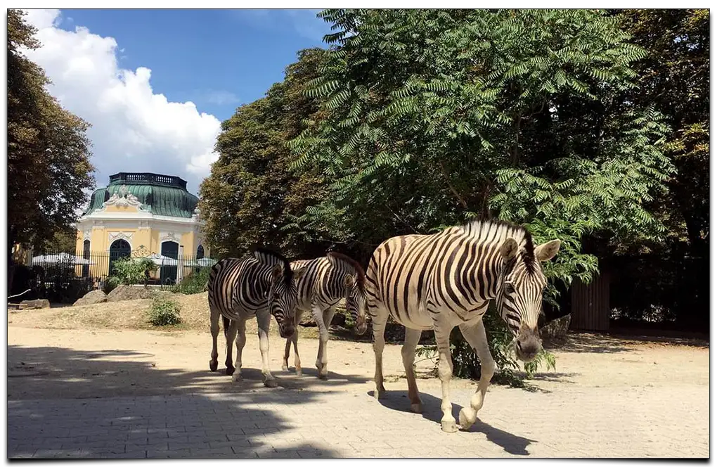 najstarsze ZOO na świecie